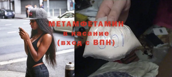 шишки Аркадак