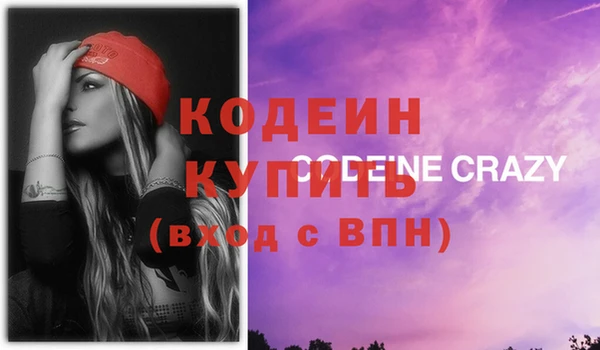индика Володарск