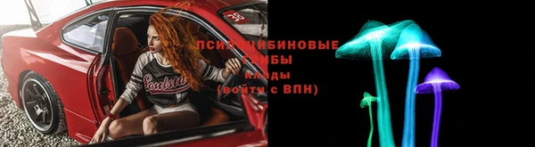 шишки Аркадак