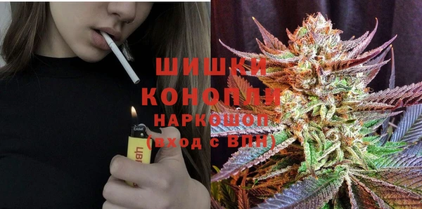 шишки Аркадак