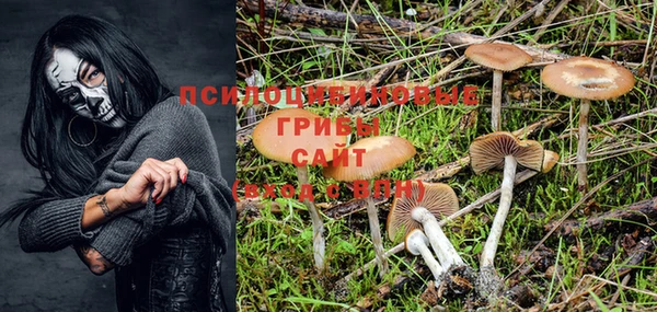 винт Арсеньев