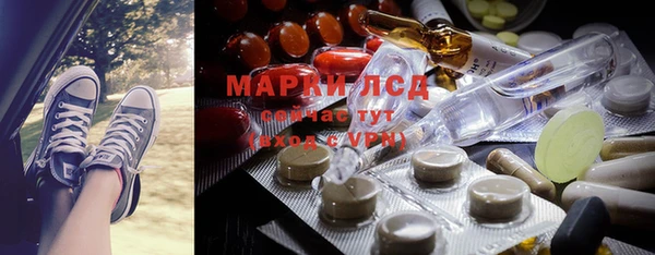 apvp Алзамай