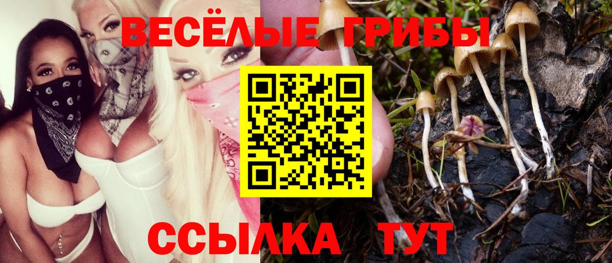 Псилоцибиновые грибы ЛСД Ханты-Мансийск